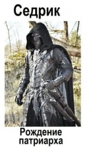 обложка книги Рождение Патриарха (СИ) - Sedrik&Rakot
