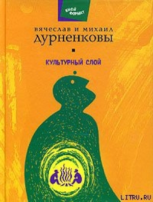 обложка книги Ручейник - Вячеслав Дурненков