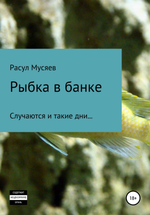 обложка книги Рыбка в банке - Расул Мусяев