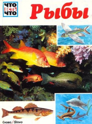 обложка книги Рыбы - Коу Джеффри