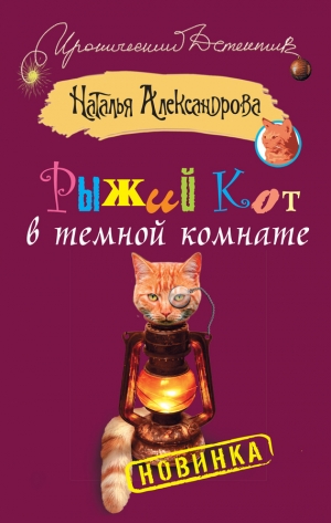 обложка книги Рыжий кот в темной комнате - Наталья Александрова