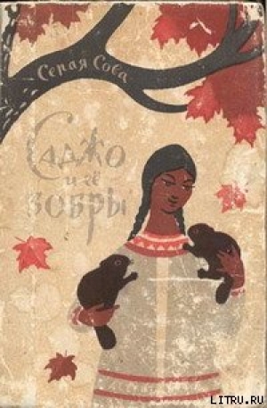 обложка книги Саджо и ее бобры - Вэши Куоннезина