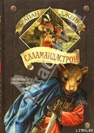 обложка книги Саламандастрон - Брайан Джейкс