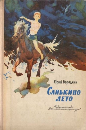 обложка книги Санькино лето - Юрий Бородкин