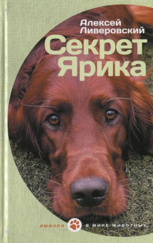 обложка книги Секрет Ярика - Алексей Ливеровский