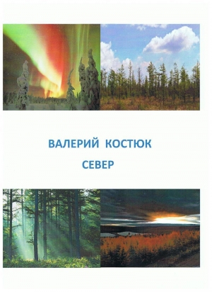 обложка книги Север (СИ) - Валерий Костюк