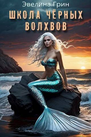 обложка книги Школа черных волхвов (СИ) - Эвелина Грин
