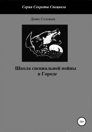 обложка книги Школа специальной войны в Городе - Денис Соловьев