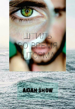 обложка книги Штиль во время шторма (СИ) - Aidan Show