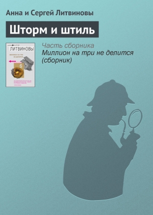 обложка книги Шторм и штиль - Анна и Сергей Литвиновы