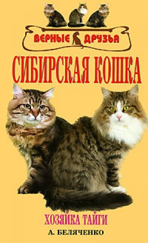 обложка книги Сибирская кошка - Андрей Беляченко