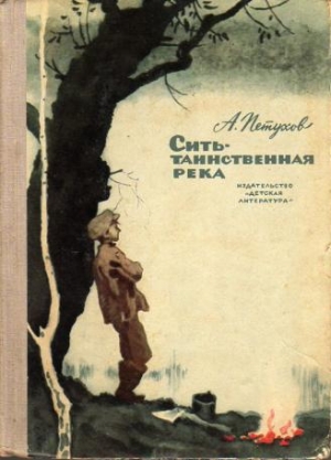 обложка книги Сить - таинственная река - Анатолий Петухов
