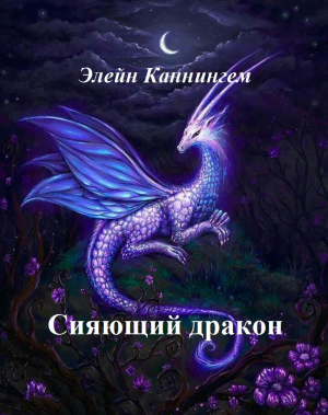 обложка книги Сияющий дракон - Элейн Каннингем