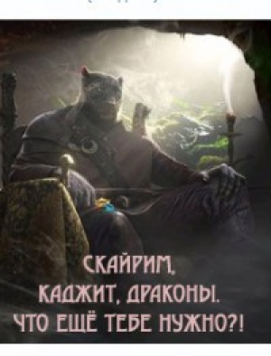 обложка книги Скайрим, каджит, драконы. Что ещё тебе нужно?! (СИ) - Викмар Бэйн