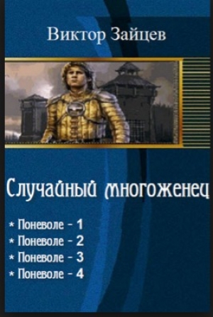 обложка книги Случайный многожёнец-1 - Виктор Зайцев