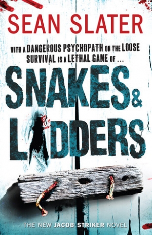 обложка книги Snakes and ladders - Sean Slater