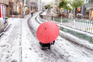 обложка книги Снег по-японски - Игорь Окинава