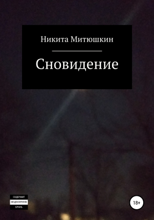 обложка книги Сновидение - Никита Митюшкин