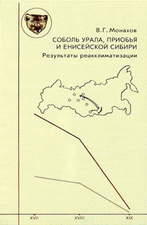 обложка книги Соболь Урала, Приобья и Енисейской Сибири : результаты реакклиматизации - Владимир Монахов