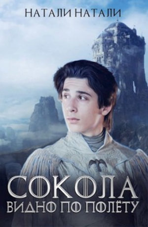 обложка книги Сокола видно по полёту (СИ) - Натали Натали