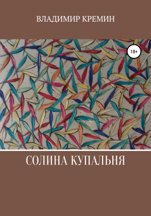 обложка книги Солина купальня - Владимир Кремин