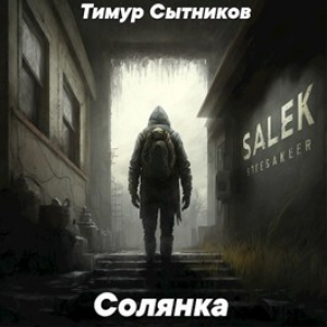 обложка книги Солянка (СИ) - Тимур Сытников