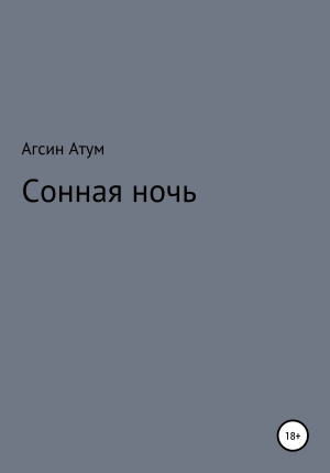 обложка книги Сонная ночь - Агсин Атум