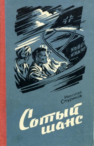 обложка книги Сотый шанс - Николай Стуриков