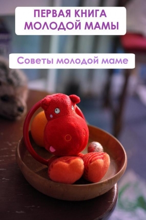 обложка книги Советы молодой маме - Илья Мельников