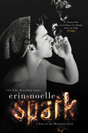 обложка книги Spark - Erin Noelle