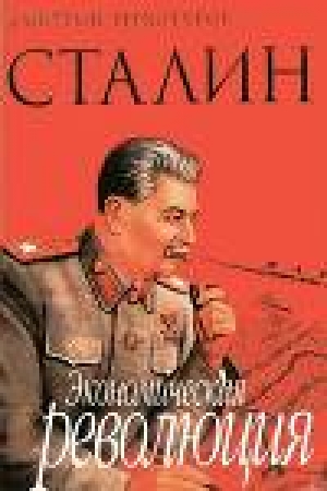 обложка книги Сталин Экономическая революция - Дмитрий Верхотуров