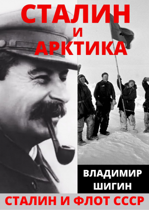 обложка книги Сталин и Арктика - Владимир Шигин