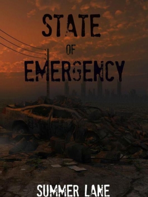обложка книги State of Emergency - Summer Lane