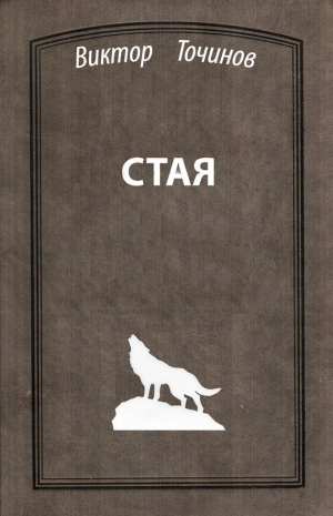 обложка книги Стая - Виктор Точинов