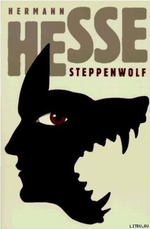 обложка книги Степной волк - Герман Гессе