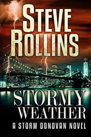 обложка книги Stormy Weather - Steve Rollins