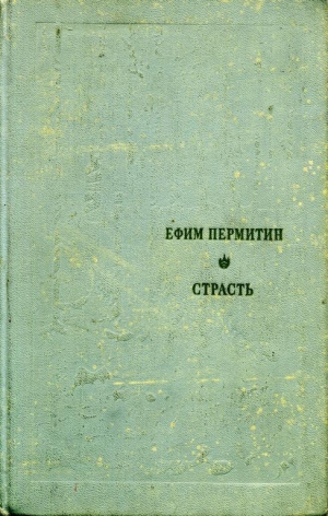 обложка книги Страсть - Ефим Пермитин