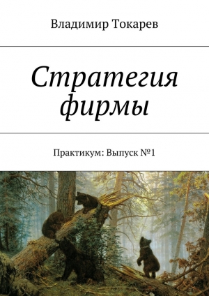 обложка книги Стратегия фирмы - Владимир Токарев