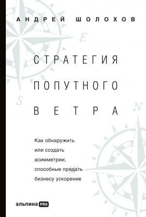 обложка книги Стратегия попутного ветра. Как обнаружить или создать асимметрии, способные придать бизнесу ускорение - Андрей Шолохов