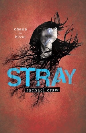 обложка книги Stray - Rachael Craw