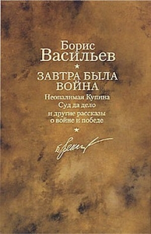 обложка книги Суд да дело - Борис Васильев