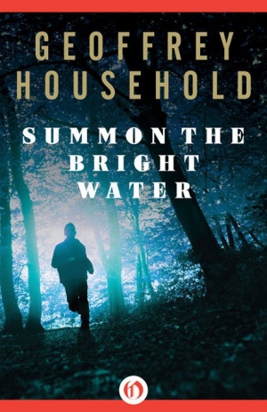 обложка книги Summon the Bright Water  - Geoffrey Household