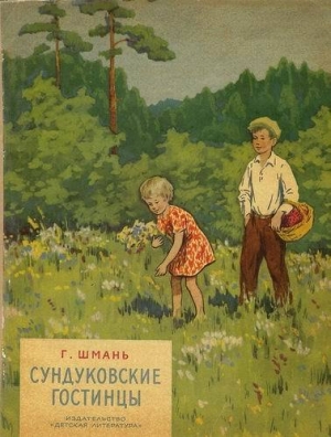 обложка книги Сундуковские гостинцы - Геннадий Шмань