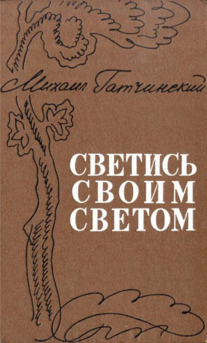 обложка книги Светись своим светом - Михаил Гатчинский