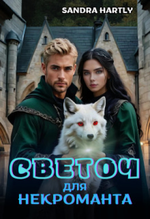 обложка книги Светоч для Некроманта (СИ) - Sandra Hartly