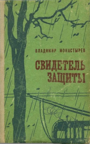 обложка книги Свидетель защиты - Владимир Монастырев