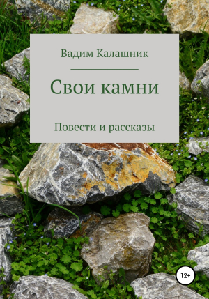обложка книги Свои камни - Вадим Калашник