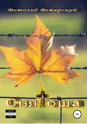 обложка книги Святоша - Витольд Ветерский