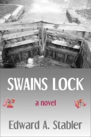 обложка книги Swains Lock - Edward A. Stabler