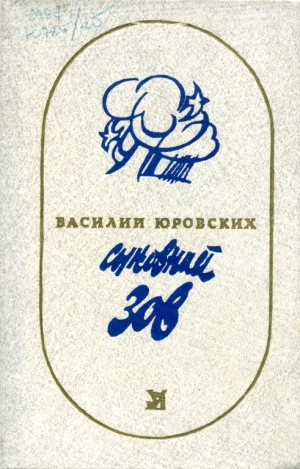 обложка книги Сыновний зов - Василий Юровских